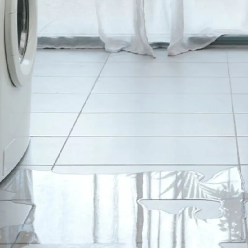 Appliance Leak Cleanup in Mount Angel, OR