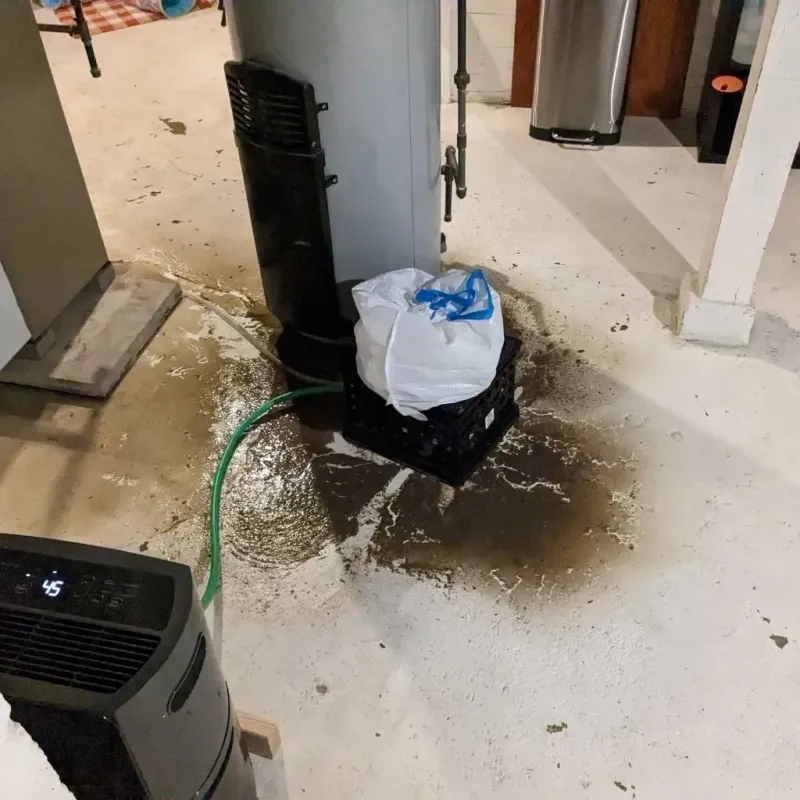 Sewage Backup Cleanup Service in Mount Angel, OR